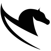 Pegaso AeroConsulting logo - Similar company to Itemsa