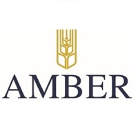 Amber Srl logo - Similar company to Amber