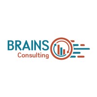 BRAINS Consulting logo - Similar company to Brains Consulting