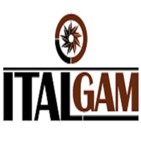 ITALGAM SRL logo - Similar company to Werde Design