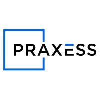 Praxess logo - Similar company to Phase 3 Advisory Services, Ltd.