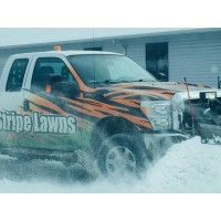 Tiger Stripe Lawns LLC