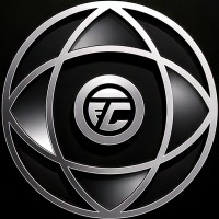 Fortune Collective logo - Similar company to Team Limit Llc