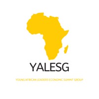 Young African Leaders Economic Summit Group logo - Similar company to African Youth Leadership Summit