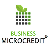 Business Microcredit logo - Similar company to Team First Software & Consulting