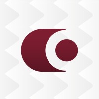 Raumaster Group logo - Similar company to Amomatic Oy