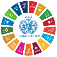 UN Chapter at UDSM logo - Similar company to Professional Development Programs Unit - Udsm