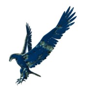 Capital Search International logo - Similar company to Figlisto