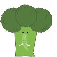 Fruitsnuitjes logo - Similar company to Ervaringwijzer