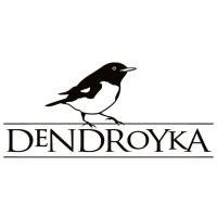 Dendroyka LLC logo - Similar company to Cantada, Inc
