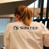 Biorefinery and hydrometallurgy at SINTEF logo - Similar company to Loop Hydrometallurgy