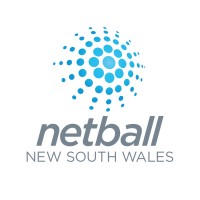 Netball NSW logo - Similar company to Inspired Compliance Solutions