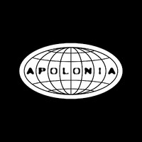 Apolonia Group logo - Similar company to Irregular Digital