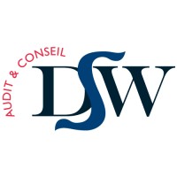 DSW AUDIT ET CONSEIL logo - Similar company to Pépites Locales