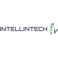 INTELLINTECH logo - Similar company to Wage Portage