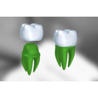 Tandartsen Nesciohove logo - Similar company to Vvov