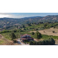 Azienda Quaresima logo - Similar company to Allarme E Video Allarme H24 Casa E Azienda - Security Leader