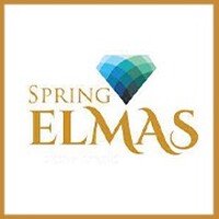 Spring Elmas Noida logo - Similar company to Najam.Hr