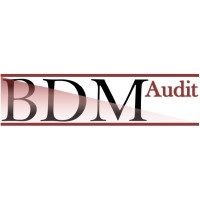 BDM Audit S.r.l. logo - Similar company to Alboran Hydrogen S.P.A.