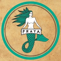 Cerveja Praya logo - Similar company to F!Ve™