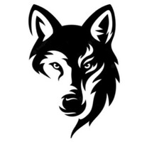 KURTRANS logo - Similar company to Mpm Express