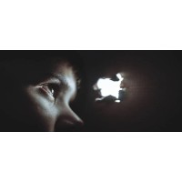 FIREFLIES LEGAL logo - Similar company to Saarathi Llp