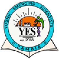 Young Emerging Scientists Zambia logo - Similar company to 1Day Sooner
