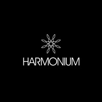 Harmonium Design Studio logo - Similar company to Stelyx