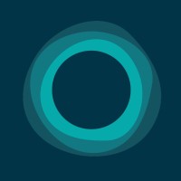 Pension Safeguard Solution logo - Similar company to Saros Technology