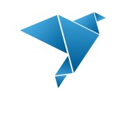 technobirds logo - Similar company to Infinite Softworks