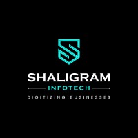 Shaligram Infotech logo - Similar company to Msp Concepts