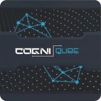Cogni Qube logo - Similar company to Unique Web Studios