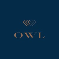 OWL FINANCIAL GROUP, LLC logo - Similar company to Owlfinancial Technologies