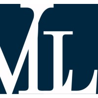 VLL Business Counselors logo - Similar company to Customs World - Comex