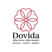Dovida DLZ logo - Similar company to Dovida Amsterdam