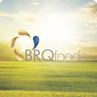 BRQfoods logo - Similar company to Profine® Brasil