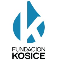 Museo Kosice logo - Similar company to Musée Des Beaux-Arts Et D'Archéologie Joseph Déchelette