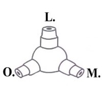 O.L.M. Srl logo - Similar company to Intermedia Time Srl