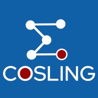 COSLING logo - Similar company to Linking Rising