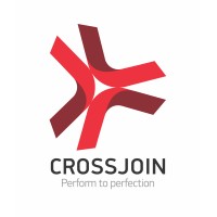 Crossjoin Solutions logo - Similar company to Peaceful Evolution