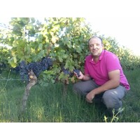 DOMAINE DU BLAVET logo - Similar company to Château Clarettes