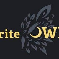 Owl Power Solutions logo - Similar company to Intellactive Power Solutions