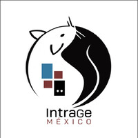 IntraGe México logo - Similar company to Flowstate
