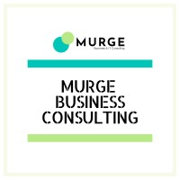 Murge Business Consulting logo - Similar company to Msa Consult