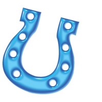 Blue Horseshoe Network, Inc.