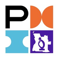 PMI Angola Chapter logo - Similar company to Selenium - Digital Solutions, S.A.