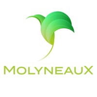 Molyneaux Services logo - Similar company to 5 Lakes Institute