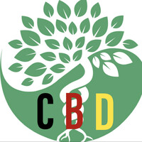 Creating Better Days GmbH logo - Similar company to Creating Better Days
