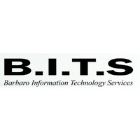 Bitstech logo - Similar company to Blitz Tech