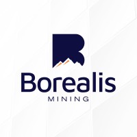 Borealis Mining (TSXV: BOGO.V | FSE: L4B0) logo - Similar company to Amex Exploration (Tsxv: Amx | Fse: Mx0 | Otcqx: Amxef)